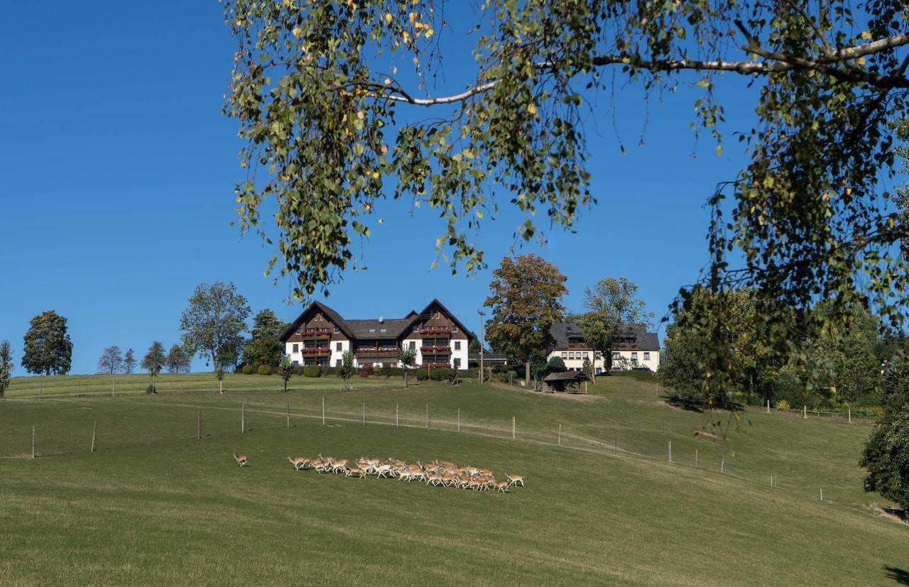 Ferienappartements Rausch Presseck Eksteriør bilde